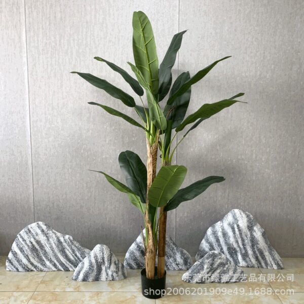 Banana Tree