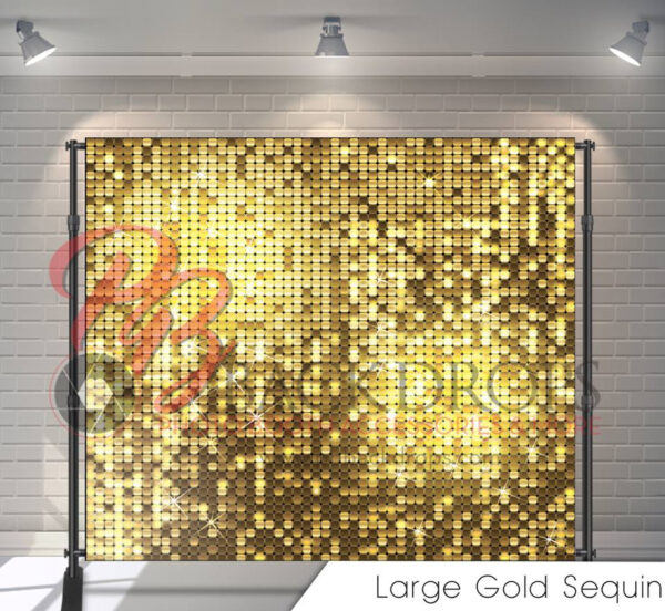 Sequence Backdrop 8 x 8